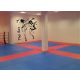 Thai Box falmatrica