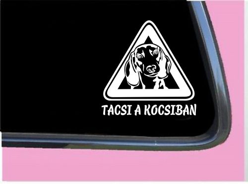 Tacsi a kocsiban autósmatrica