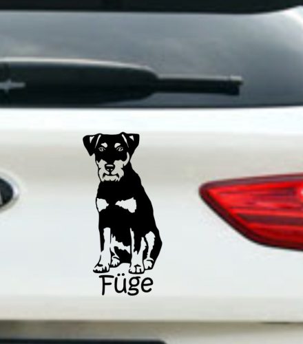 Jagd terrier autósmatrica