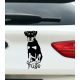 Jagd terrier autósmatrica