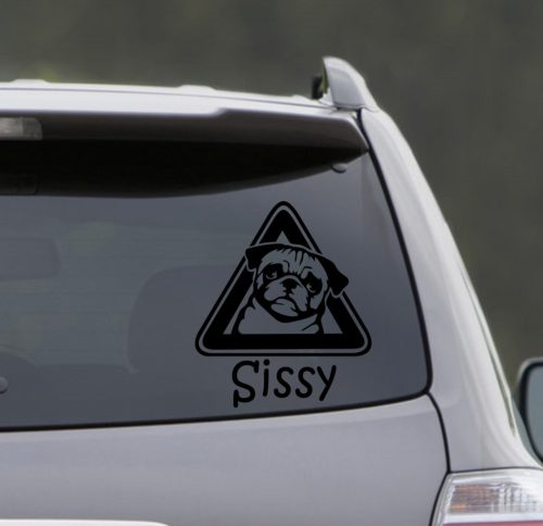 Mops autósmatrica