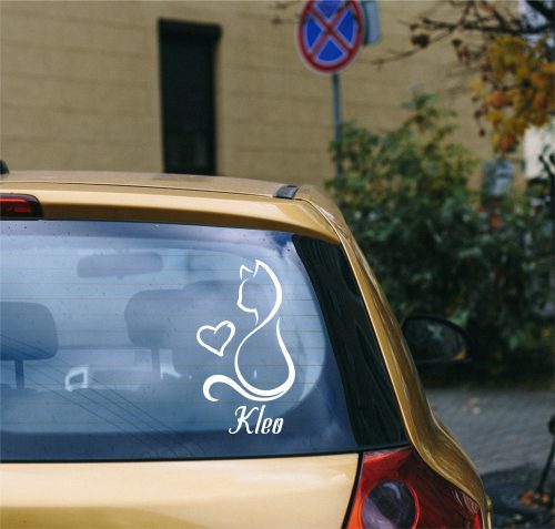 4. Cica autósmatrica