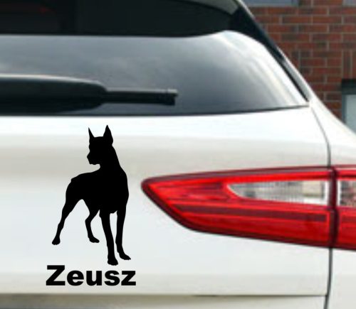 Doberman 2 Autós matrica